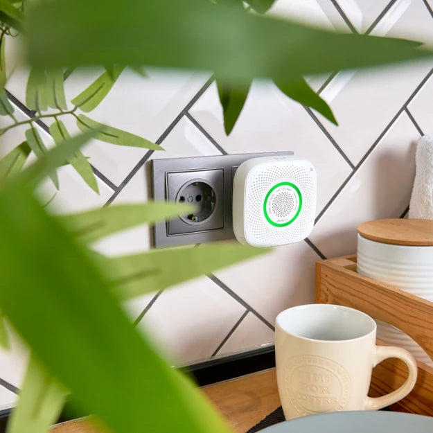 Shelly GAS CNG - SMARTBLU